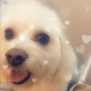 Meet your Posher, Martha